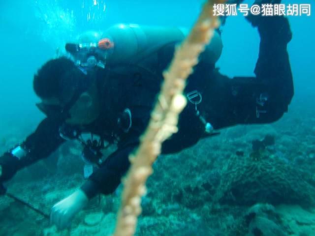 ￼￼男的突然把头像换成全身照，是不是谈恋爱了？有喜欢的人了？？游戏画面