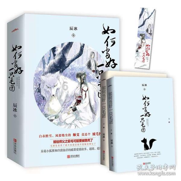 我的老师是偶像